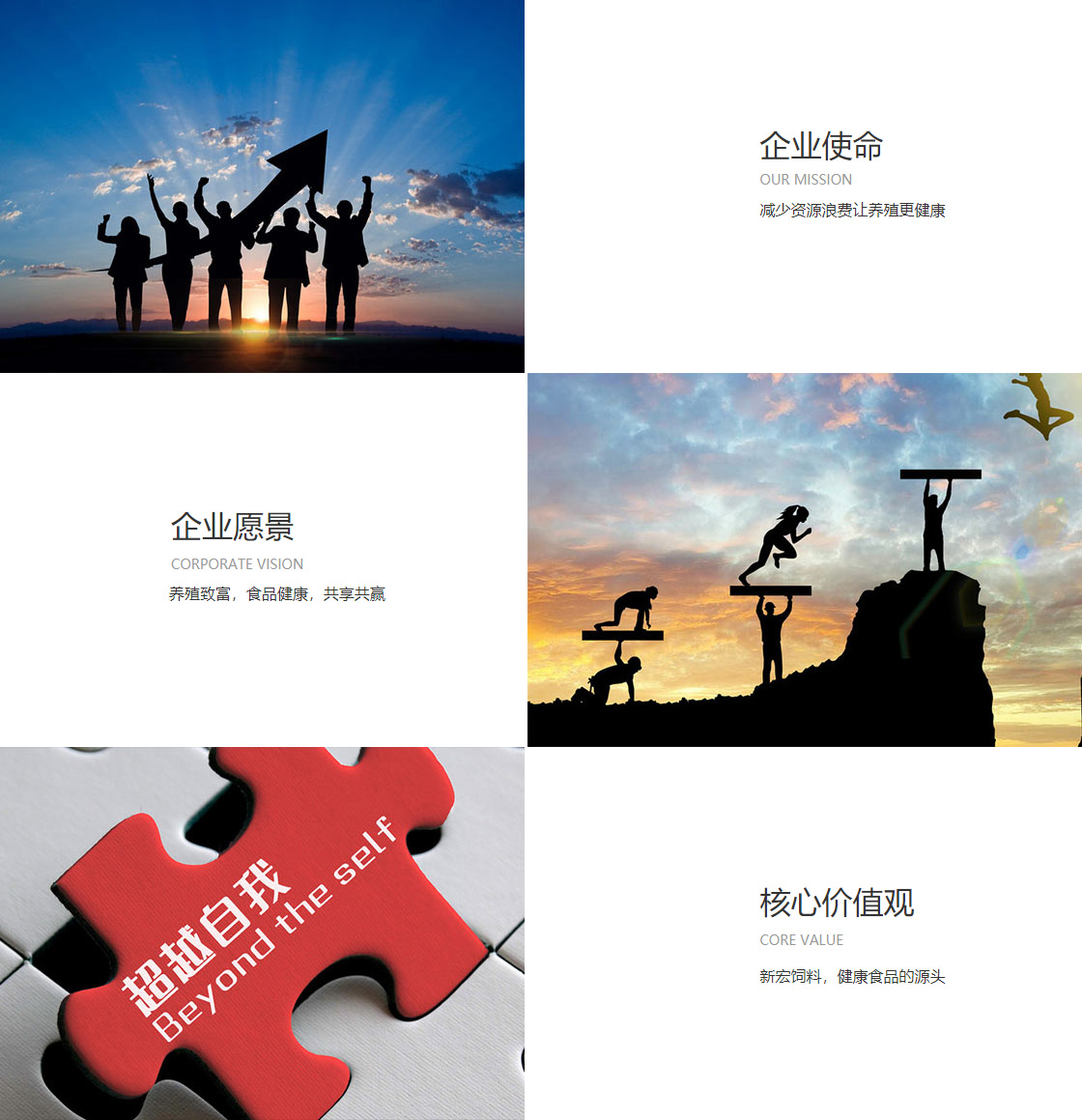 篮球直播60(图1)
